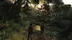 اکانت قانونی The Last Of Us Remastered  برای  PS5 و PS4